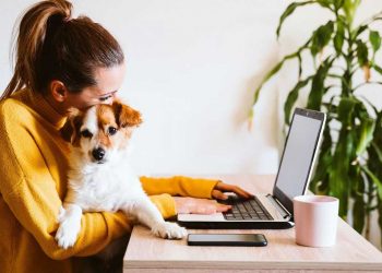 Bientôt un vaccin pour les personnes allergiques aux chiens ?