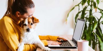 Bientôt un vaccin pour les personnes allergiques aux chiens ?