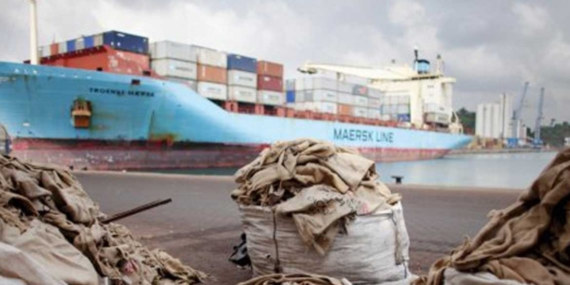 Côte d’Ivoire : la nouvelle campagne cacao n’est pas « dans le sac »