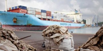 Côte d’Ivoire : la nouvelle campagne cacao n’est pas « dans le sac »