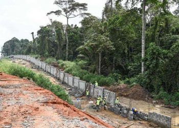 En Côte d’Ivoire, face à l’urbanisation sauvage, le parc du Banco, « poumon vert » d’Abidjan, se barricade