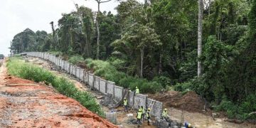 En Côte d’Ivoire, face à l’urbanisation sauvage, le parc du Banco, « poumon vert » d’Abidjan, se barricade