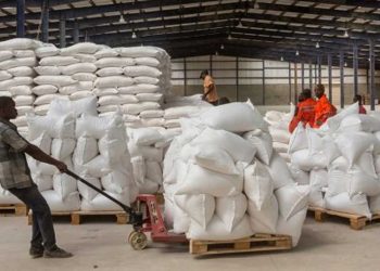 BAD : un plan à 1 milliard de dollars pour se passer du blé russe