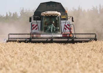 Sécurité alimentaire mondiale en danger : « La guerre en Ukraine, la faim en Afrique »