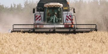 Sécurité alimentaire mondiale en danger : « La guerre en Ukraine, la faim en Afrique »