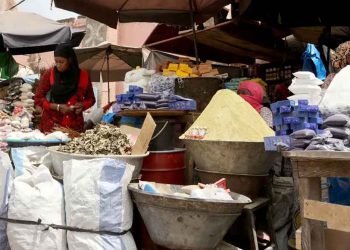 Guerre en Ukraine : l’Afrique fait face à un doublement du prix des engrais qui risque de pénaliser les futures récoltes