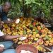 La signature d’un accord pour garantir un meilleur revenu aux planteurs de cacao en bonne voie