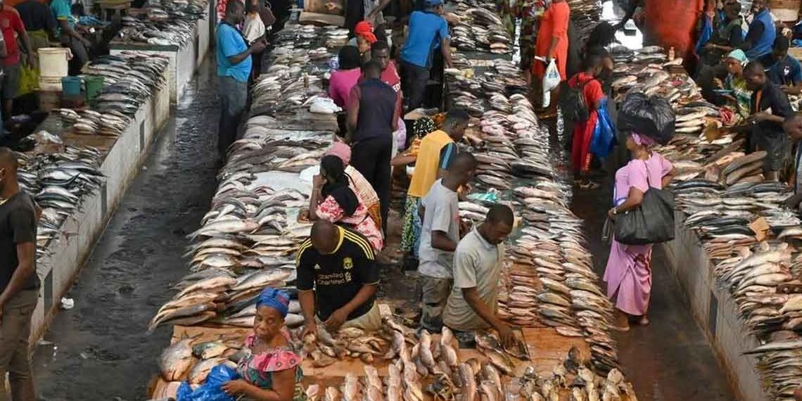 Côte d’Ivoire: le gouvernement veut booster l’aquaculture