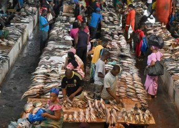 Côte d’Ivoire: le gouvernement veut booster l’aquaculture
