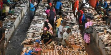 Côte d’Ivoire: le gouvernement veut booster l’aquaculture