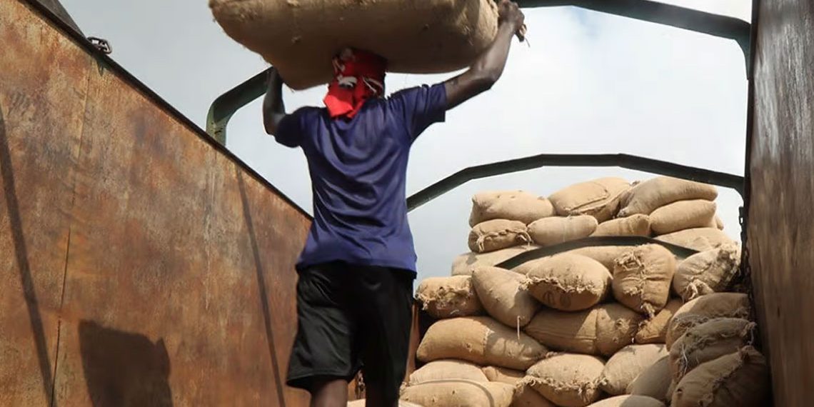Afrique de l’Ouest : les zones de transformation agricole, une bonne idée ?