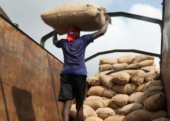 Afrique de l’Ouest : les zones de transformation agricole, une bonne idée ?