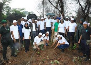 Côte d’Ivoire : Banque Atlantique participe au reboisement de la forêt classée d’Audoin