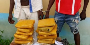 Guémon-Cavally : Opération anti-drogue  4 personnes arrêtées en possession d&rsquo;armes, de stupéfiants puis un fumoir détruit