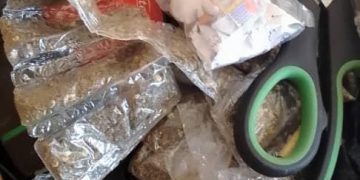 [Toulepleu : Lutte antidrogue]  Plusieurs quantités de drogues « Boka » et « Nerveux » saisies dans un fumoir