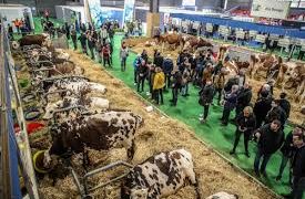 Agriculture : Les portes du 61ème salon international ouvertes à Paris  
