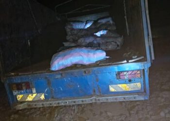 Duékoué: Un commando de présumés voleurs d’hévéa cueilli par les éléments du Commissaire Ouattara