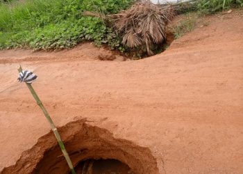 Côte d’Ivoire : Coupé du monde, le Département de Taï, symbole d’enclavement du pays profond
