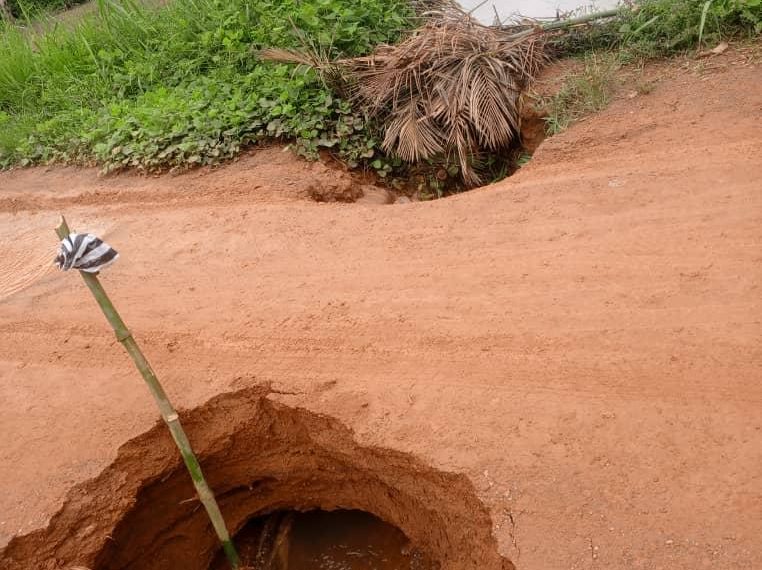 Côte d’Ivoire : Coupé du monde, le Département de Taï, symbole d’enclavement du pays profond