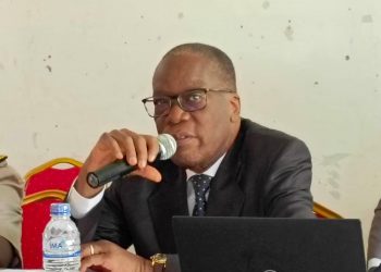 Cavally-Guémon : Les Commissions Électorales Locales bientôt installées par la CEI