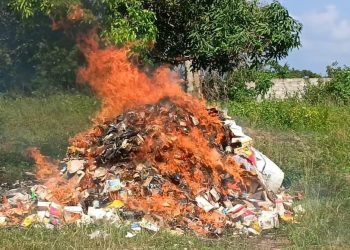 Guiglo : 9 tonnes de drogues d’une valeur de 100 millions incinérées