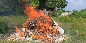 Guiglo : 9 tonnes de drogues d&rsquo;une valeur de 100 millions incinérées