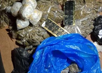 Guiglo : Une journée dédiée à la sensibilisation sur les dangers de l’usage et du trafic illicite des drogues et des stupéfiants