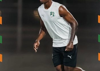 Éléphants de Côte d’Ivoire   Inao, la touche technique qui faisait défaut